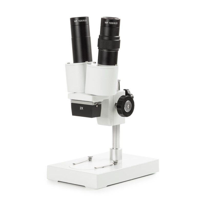 Novex Microscopio stereo Binoculare AP-1