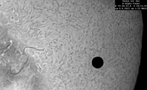 Venus vor der H-Alpha-Sonne