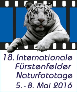 18_IFN-Logo